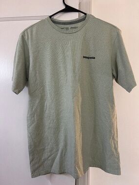 Patagonia Logo Tee